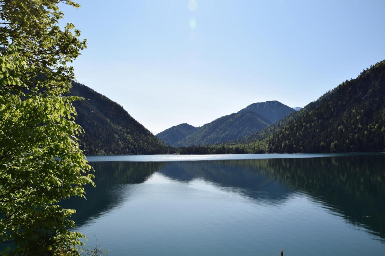 Appartement Am Plansee Eksteriør billede